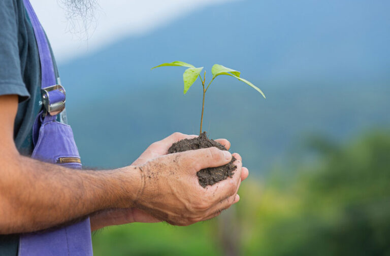 7 formas de mantenerte en el negocio de la jardinería comprando nuestras piezas