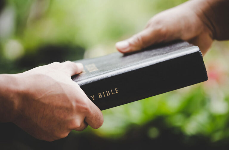 ¿Cómo cambiar el motor de tu podadora?